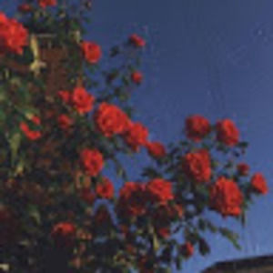 Meet your Posher, Michaela